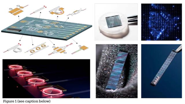 Figure 1 image